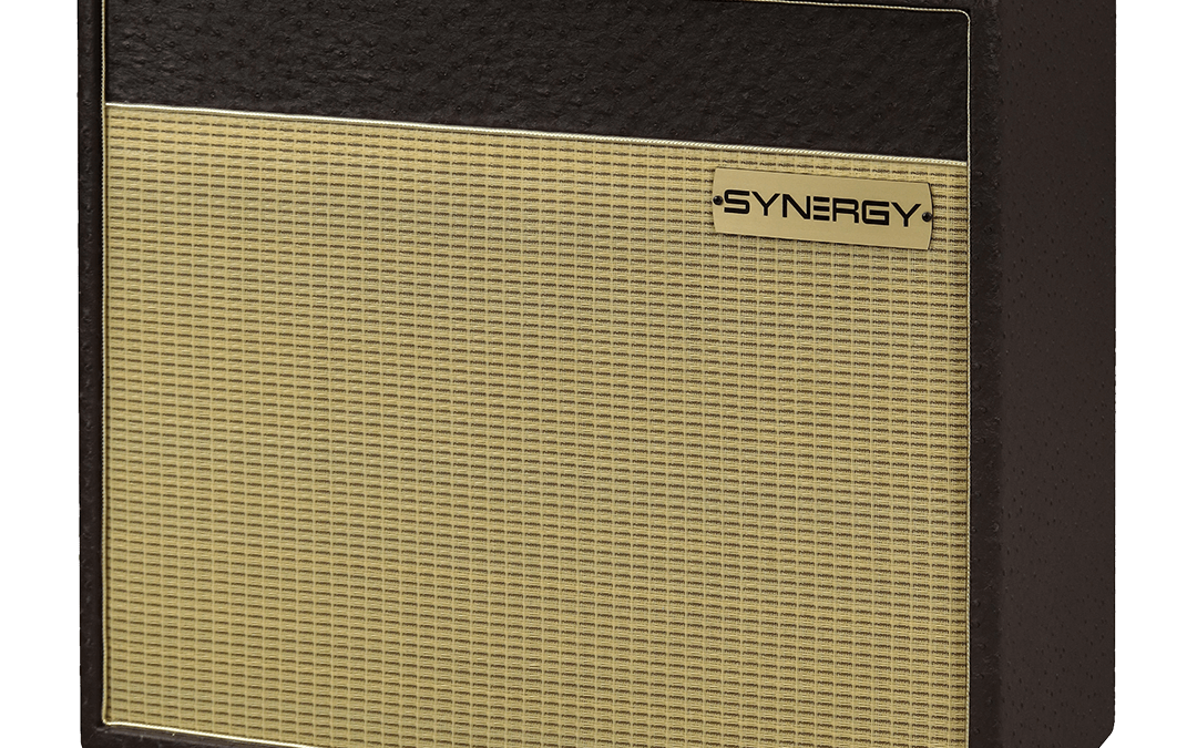 SYNERGY SYN-20IR 1×12” Combo Amp – Custom Shop Brown Ostrich